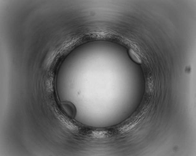 X0000100960450200807011336