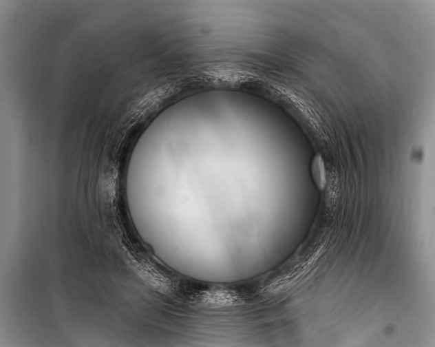 X0000100960451200807011336