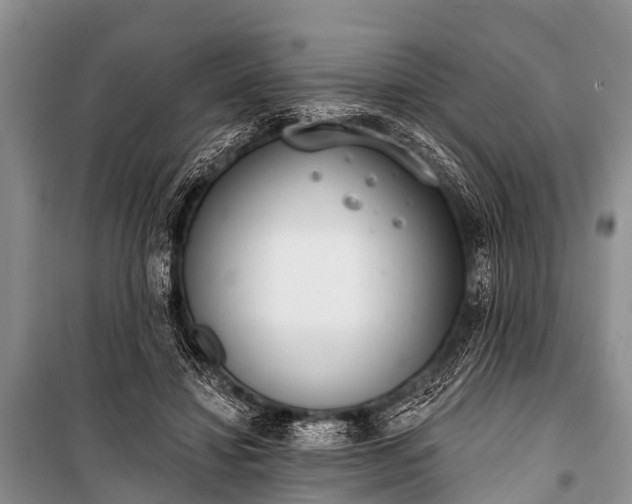X0000100960452200807011336
