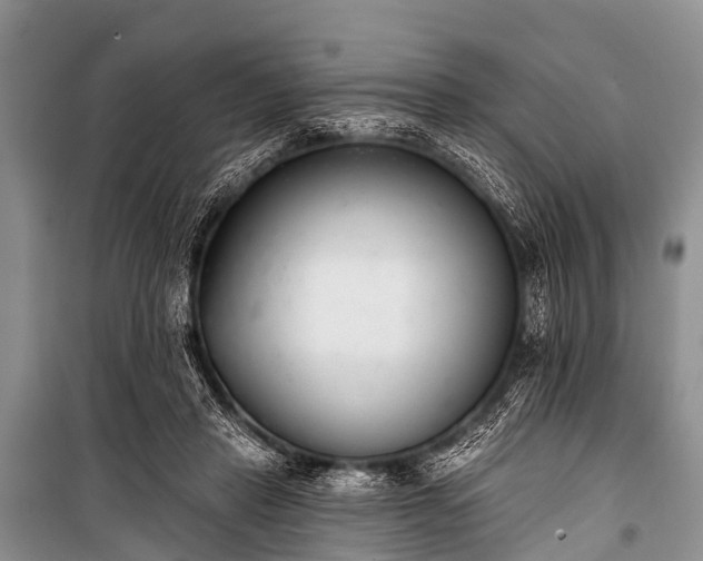 X0000100960453200807011336