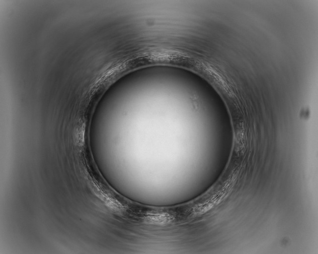 X0000100960454200807011336
