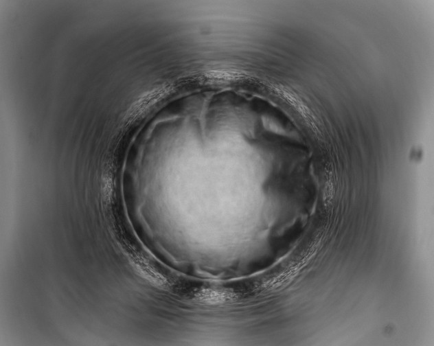 X0000100960455200807011336