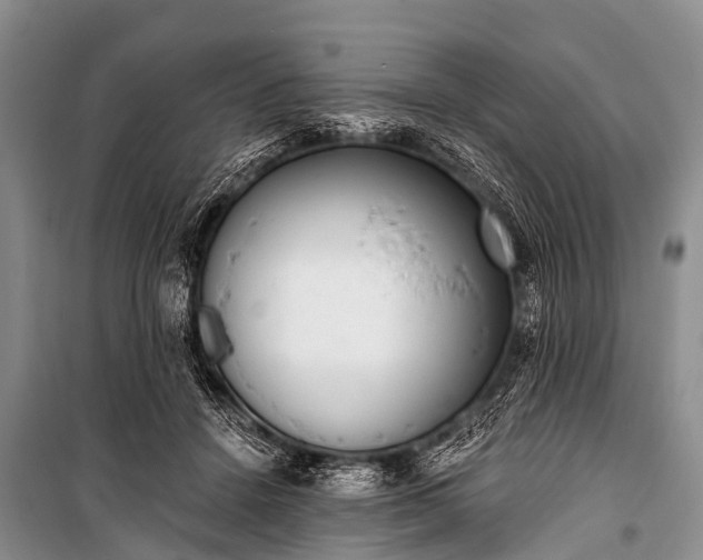 X0000100960456200807011336