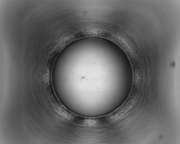 X0000100960457200807011336