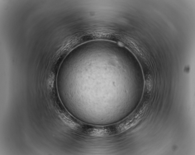 X0000100960458200807011336