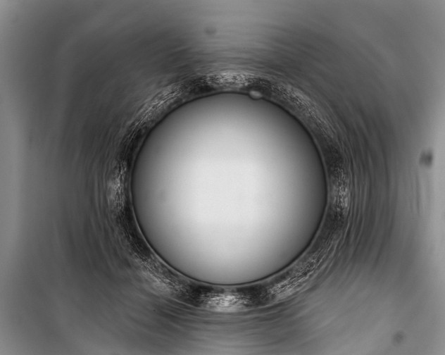 X0000100960460200807011336