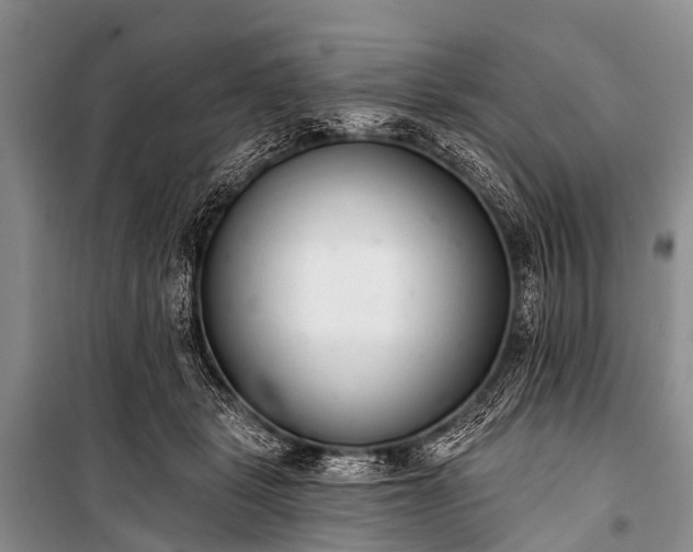X0000100960461200807011336