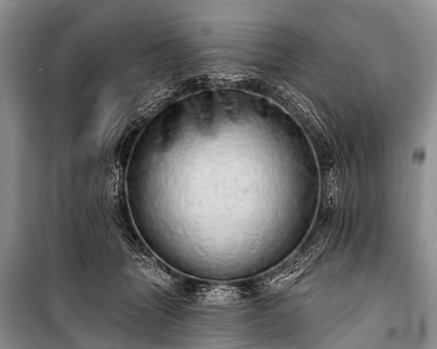 X0000100960463200807011336