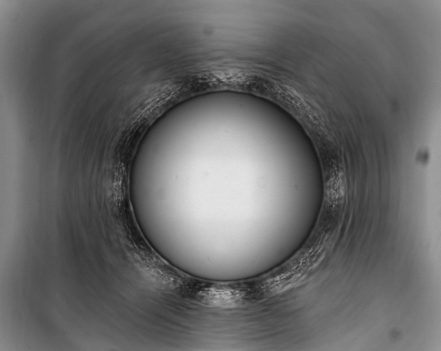 X0000100960464200807011336
