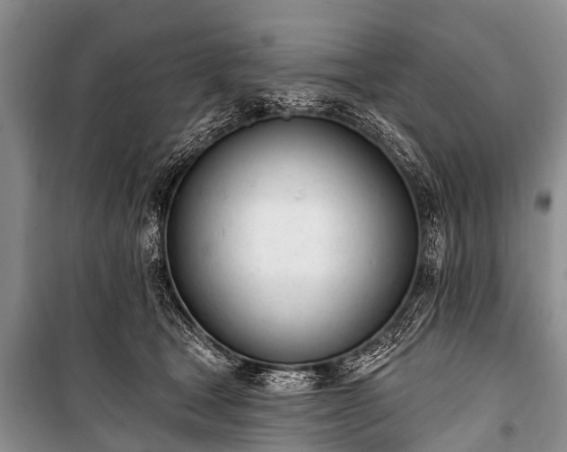 X0000100960465200807011336