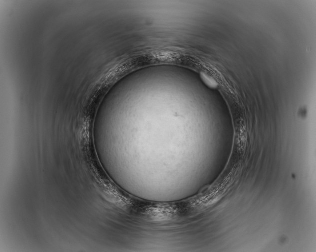 X0000100960466200807011336
