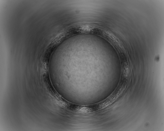 X0000100960467200807011336
