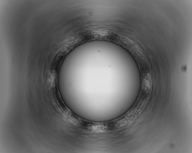 X0000100960468200807011336