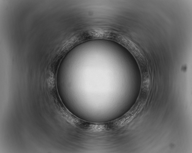 X0000100960469200807011337