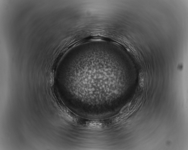 X0000100960471200807011337