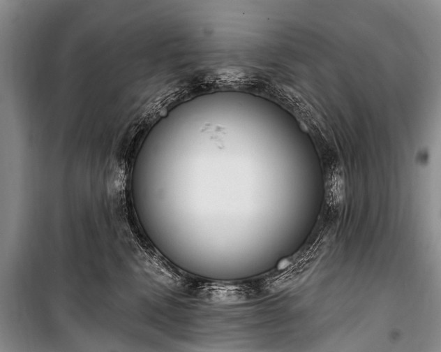 X0000100960472200807011337