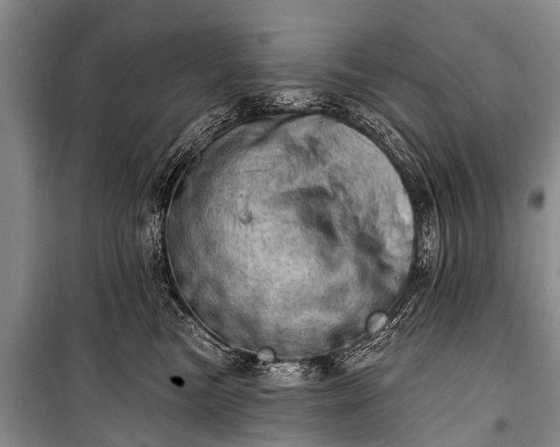 X0000100960473200807011337