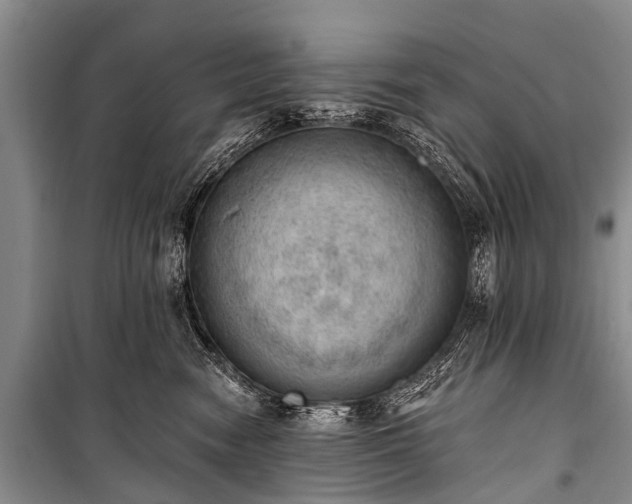 X0000100960474200807011337