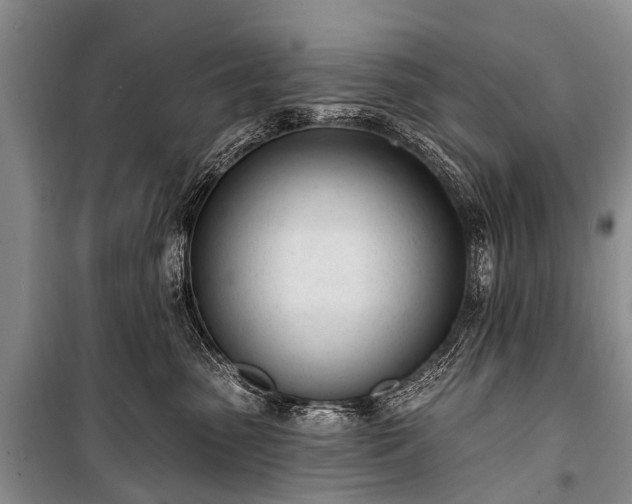 X0000100960475200807011337