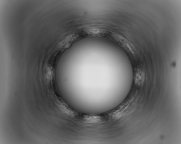 X0000100960476200807011337