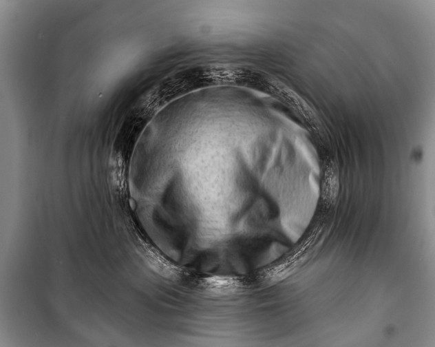X0000100960477200807011337
