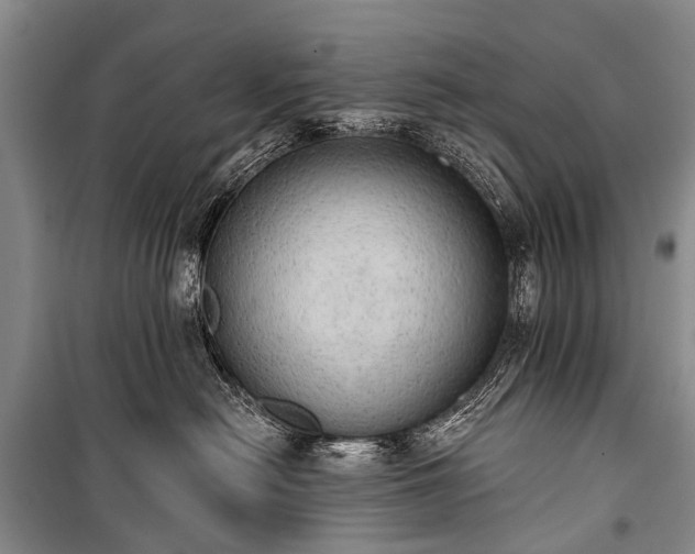 X0000100960478200807011337