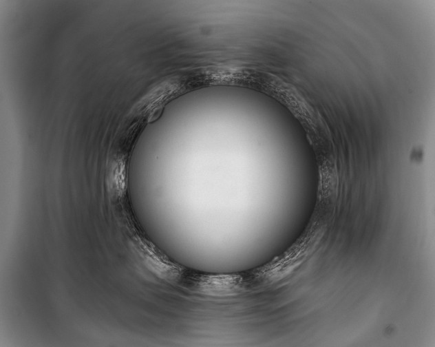 X0000100960479200807011337