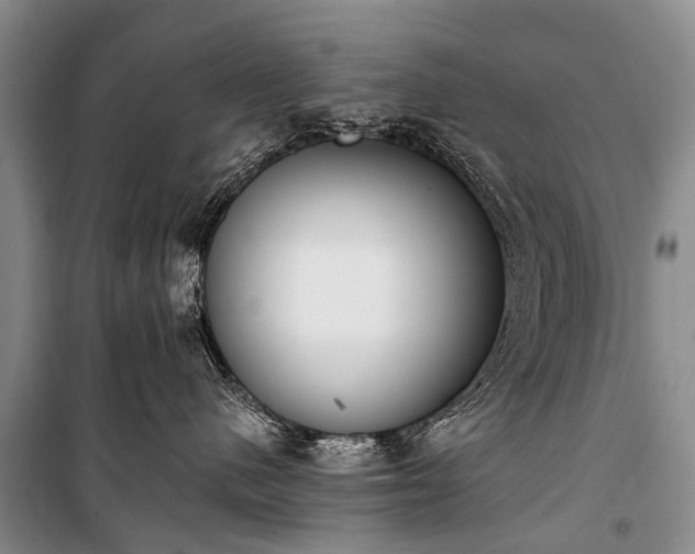 X0000100960480200807011337