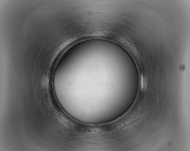 X0000100960483200807011336