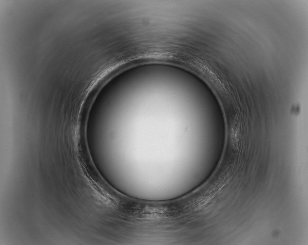 X0000100960484200807011336