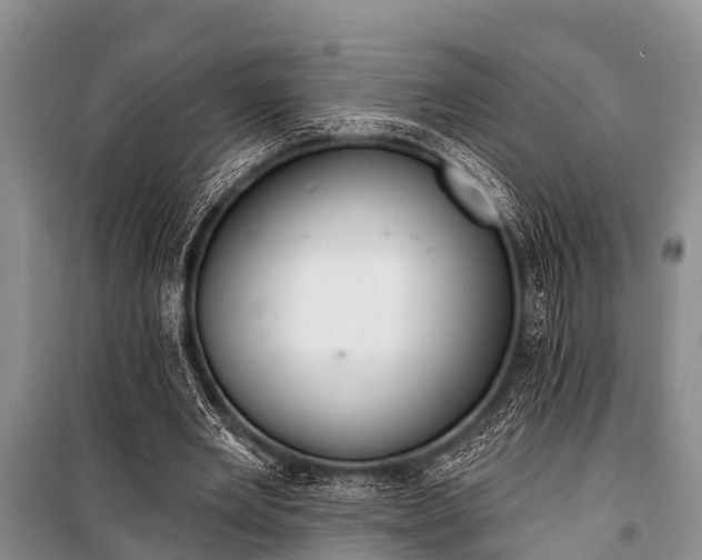 X0000100960485200807011336