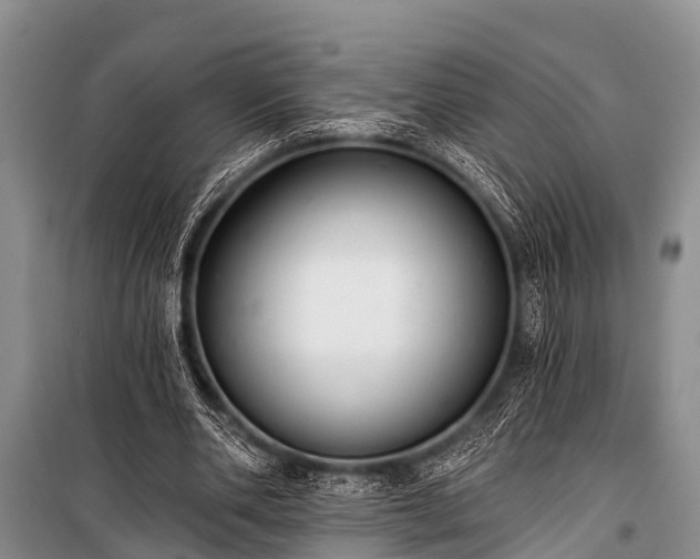 X0000100960486200807011336