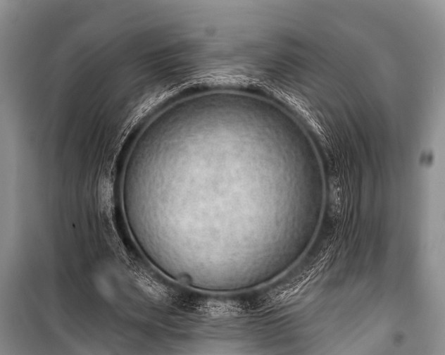 X0000100960487200807011336