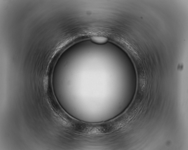 X0000100960488200807011336
