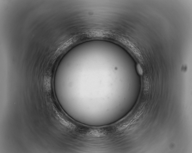 X0000100960489200807011336