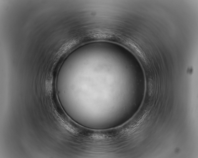 X0000100960490200807011336