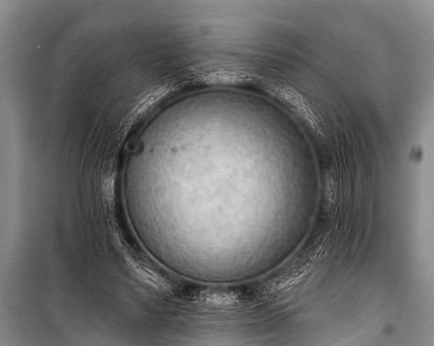 X0000100960491200807011336