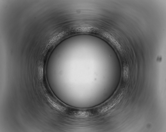 X0000100960493200807011336