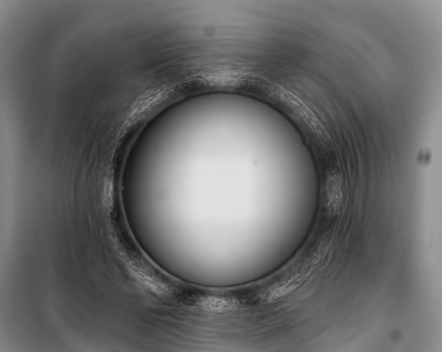 X0000100960494200807011336