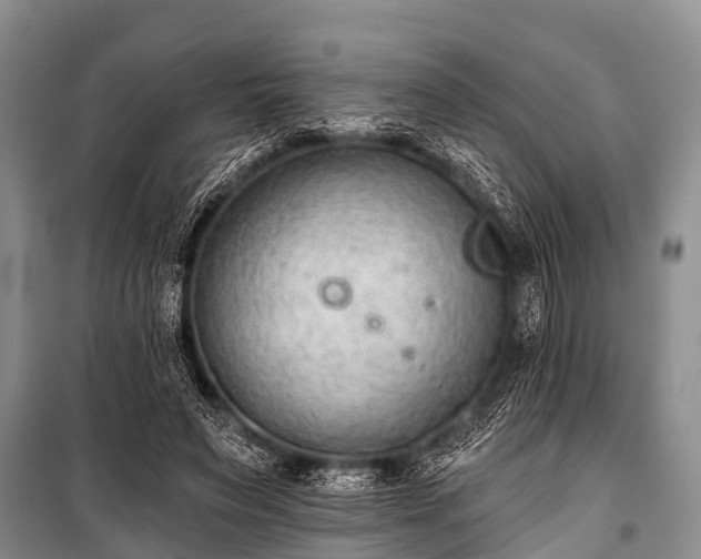X0000100960495200807011336