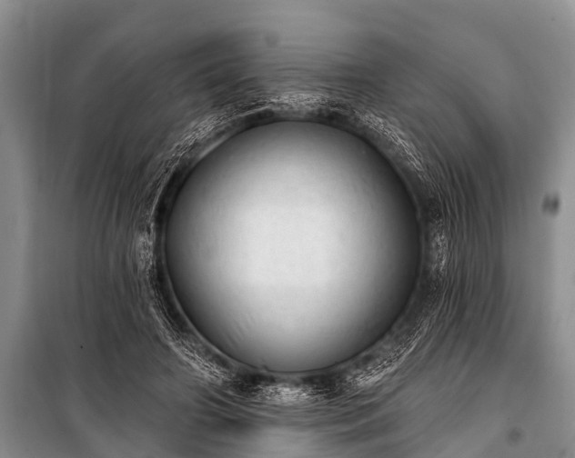 X0000100960498200807011336