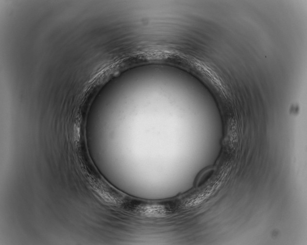 X0000100960501200807011336