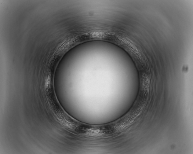 X0000100960502200807011336