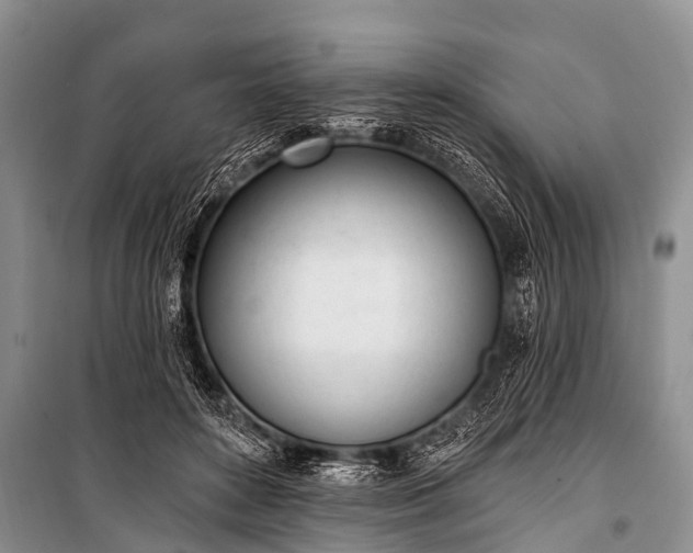 X0000100960504200807011336