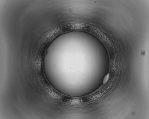 X0000100960505200807011336