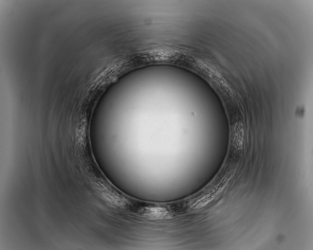 X0000100960509200807011336