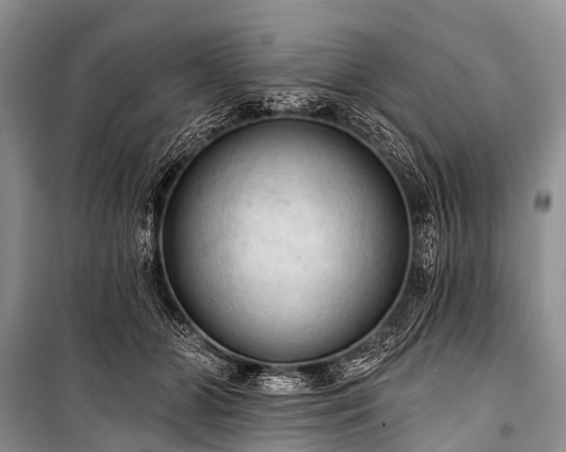 X0000100960510200807011336