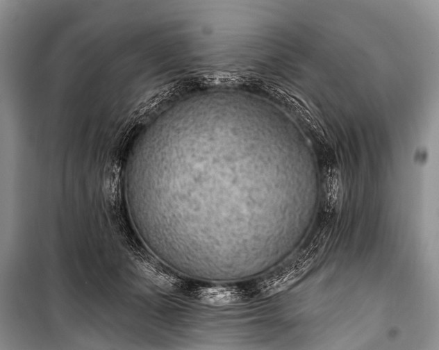 X0000100960511200807011336