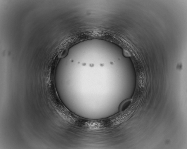 X0000100960512200807011336