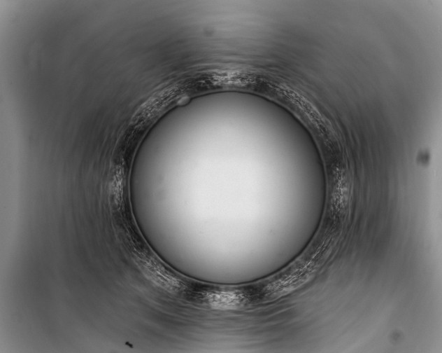 X0000100960513200807011336